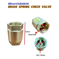 Heavy Duty Vertical Brass Spring Check Valve 1 Way Check Valve Non-Return Valve PVC Swing Valve