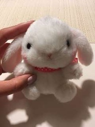 From japan🇯🇵AMUSE loppy bunny plush