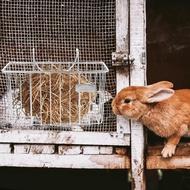 POPETPOP Hay Feeder Heavy Duty Metal Rack Hay Holder Rabbit Hay Feeder Bunny Hay Holder Hanging Hay 