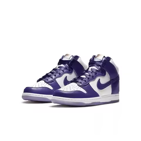 Nike Dunk SB Dunk High Women's Skate Shoes High Top Design Durable Support Comfort Cushioned Streetw