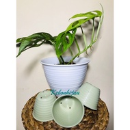 HIJAU 8cm Matcha Wasp Pot/8Cm Green Wasp Pot/Wasp Pot/Matcha Pot/Small Pot/Sukelen Pot