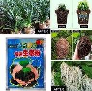 1 Pack Rapid Growth Root Medicinal Hormone Regulators Garden Rooting Powder