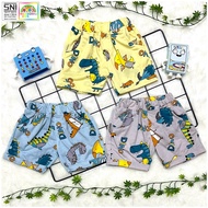 BABY TERRY CHILDREN'S SHORTS / EVERYDAY CASUAL PANTS 1 - 7 YEARS SNI "DINO PRINT"