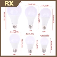 E27 Equivalent LED Bulbs 5W 7W 9W 12W 15W 18W Lamps LED Spotlight Cold/Warm White with Base