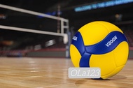 Volleyball/Mikasa volleyball/molten volleyball
