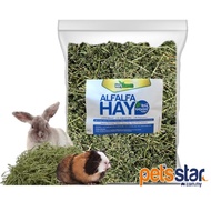 HugGreen Alfalfa Hay /Rumput Kering For Chinchilla / Rabbit / Guinea Pig / Degu / Arnab/Herbivores P