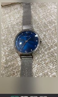 SKAGEN（電池已換新）