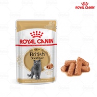 Pate For Royal Canin British Shorthair Adult Cat 85g For Adult Short Hair Cat