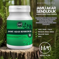 % HQ | Herba Alam Jamu Akar Senduduk Ramuan Turun Temurun 30 Biji