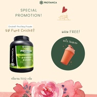 โปรทานิก้า โปรตีนผง โปรตีนจิ้งหรีด ผงชงดื่ม รสดั่งเดิม Protein drink cricket protein powder drink or