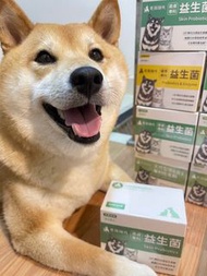 毛孩時代 化毛益生菌 皮膚益生菌 腸胃益生菌 魚油