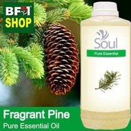 Pure Essential Oil (EO) - Pine - Fragrant Pine Essential Oil - 1L
