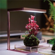 Flat Nano 全光譜LED植物燈 玫瑰金 室內植物