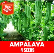 Ampalaya Seeds -   Long Green