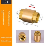 Check Valve 1 Inch DN15 20 25