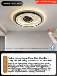 RUILUO | Modern Luxe Bedroom & Living Room Ceiling Light Eye-Caring