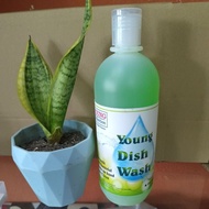 YOUNG/Joy Sparkling Lime Dishwashing Liquid