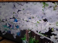 OLED 移民65吋智能電視，超薄型慳位容易擺放，有座枱架， 4K Smart TV 私人出讓