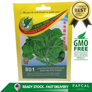 (READY STOCK) GE Grade A Local Green Rounded Leaf Amaranth Seed 801 / GE Bayam Hijau Bulat Tempatan 
