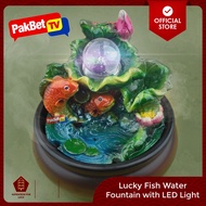 Lucky Fish Water Fountain With Led Light | Feng Shui by PakBet TV