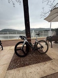 Pinarello Dogma 公路車