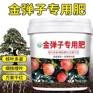 Nongfu Song Special Fertilizer for Golden Marbles Green Plant Potted Plant Nutrient-Type Organic Fertilizer Old Opium Pe