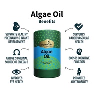 Organicule Algae Oil – Omega-3 DHA Softgel (250mg)