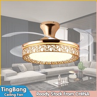 【TingBang】36"42"48" Ceiling Fan With Light DC Motor Ceiling Fan With LED Light in Room