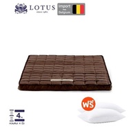 LOTUS ที่นอนยางพาราแท้100% ทดแทนที่นอนเดิม โดยไม่ต้องเปลี่ยนที่นอนใหม่ นำเข้าจาก Belgium ส่งฟรี