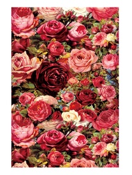 Rose Cross Stitch DIY Embroidery Set 9CT 11CT Fashion Craft Painting Printed Handmade Material Pack 