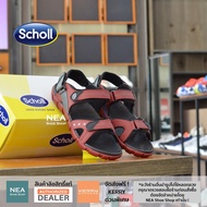 [ลิขสิทธิ์แท้] Scholl Napolien Comfort Sandals  [U] NEAรองเท้า รัดส้น สกอล์ แท้ เพื่อสุขภาพ