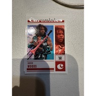 Xavier Woods Chronicles