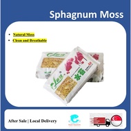 (Ready Stock) 12L Sphagnum Moss Moisturizing Nutrition Organic Fertilizer For Phalaenopsis Orchid