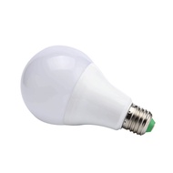 E27 12W LED Waterproof (12V 24V 36V Available Power Saving Bulb)