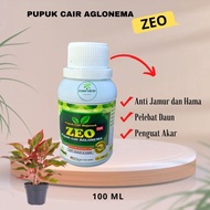 PUPUK AGLONEMA - NUTRISI TANAMAN HIAS - PUPUK CAIR MAJEMUK ZEO