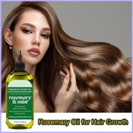 Hair Oil Rosemary Rosemary Oil 75ml Massage Oil for Hair Growth Refreshing All Purpose Hair Nourishi