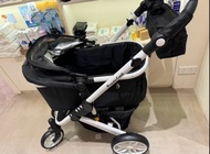 piccolo cane tanto iii