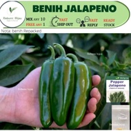 9 Biji benih LADA JALAPENO chili seed