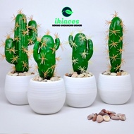 MINI SUCCULENT CACTUS PLASTIC CACTUS MINI POT CACTUS ARTIFICIAL CACTUS PLASTIC FLOWERS DECORATION SU