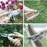Pruning Scissors, Branch Cutters, Bonsai Pruning Scissors
