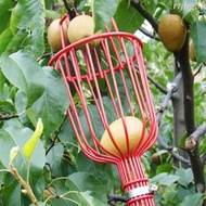 Fruit Picker Fruit Picking Fruit Picker Head High-Altitude Fruit Picking Tools [HP] Fruit Picker Sti