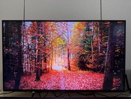 Sony 49吋4K電視 型號： KD49X8000H