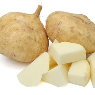 20 เมล็ด เมล็ดผัก Jicama มันแกว เมล็ดพันธุ์ผัก สวนครัว Vegetable Seeds