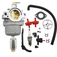 594601 Carburetor For Briggs and Stratton Nikki 33R877 594605 697216 31P677 799256 795366 331877 698