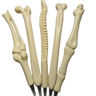 funny stationery stationery set korean stationery Creative Bone Styling Pen Funny Bone Ballpoint Pen