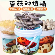 [Large Bucket Design]Free Shipping DIY Pleurotus Mushroom Growing Mushroom Growing Bucket Edible Mus