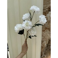 Carnation branches with 6 flowers decorate homes and hotels
