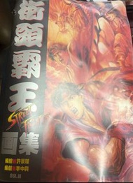Street Fighter Artbook