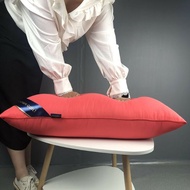 1kg/1000g bantal BAG BANTAL Hilton & Resort Pillow Down Quilt 1000g