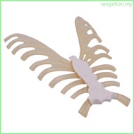 RAN Human Skeleton Anatomical Model Human Sternum Model for Classroom Teaching